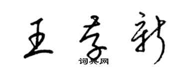 梁錦英王存新草書個性簽名怎么寫