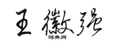 駱恆光王徽強行書個性簽名怎么寫