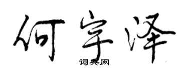 曾慶福何宇澤行書個性簽名怎么寫