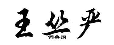 胡問遂王叢嚴行書個性簽名怎么寫