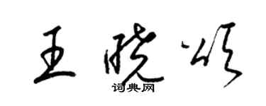 梁錦英王曉頌草書個性簽名怎么寫