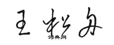 駱恆光王松舟草書個性簽名怎么寫
