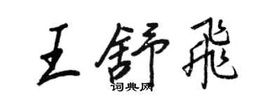 王正良王舒飛行書個性簽名怎么寫