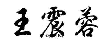 胡問遂王震蓉行書個性簽名怎么寫