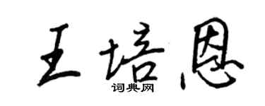 王正良王培恩行書個性簽名怎么寫
