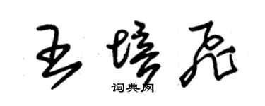 朱錫榮王培飛草書個性簽名怎么寫