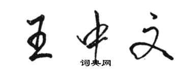 駱恆光王中文行書個性簽名怎么寫