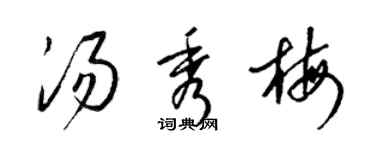 梁錦英湯秀梅草書個性簽名怎么寫