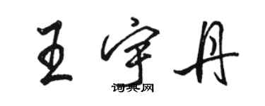 駱恆光王宇丹行書個性簽名怎么寫