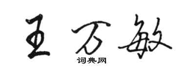 駱恆光王萬敏行書個性簽名怎么寫