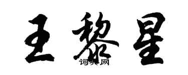 胡問遂王黎星行書個性簽名怎么寫