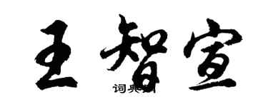 胡問遂王智宣行書個性簽名怎么寫
