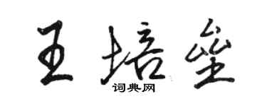 駱恆光王培壘行書個性簽名怎么寫