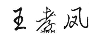 駱恆光王孝鳳行書個性簽名怎么寫