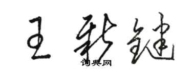 駱恆光王新鍵草書個性簽名怎么寫