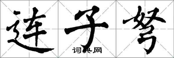 翁闓運連子弩楷書怎么寫