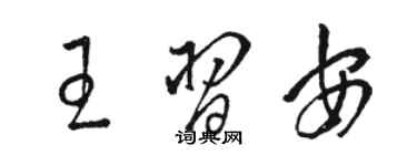 駱恆光王習安草書個性簽名怎么寫