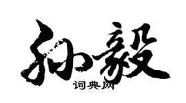 胡問遂孫毅行書個性簽名怎么寫