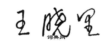 駱恆光王曉里草書個性簽名怎么寫