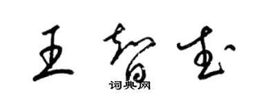 梁錦英王智武草書個性簽名怎么寫