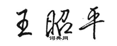 駱恆光王昭平行書個性簽名怎么寫