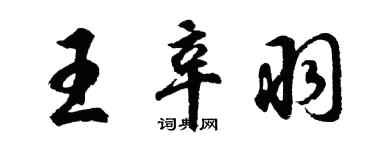 胡問遂王辛羽行書個性簽名怎么寫