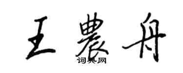 王正良王農舟行書個性簽名怎么寫