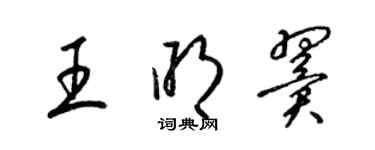 梁錦英王明翼草書個性簽名怎么寫