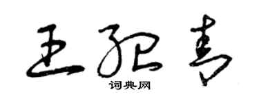 曾慶福王紀青草書個性簽名怎么寫