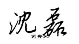 王正良沈磊行書個性簽名怎么寫