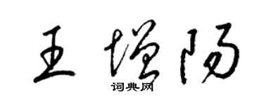 梁錦英王增陽草書個性簽名怎么寫