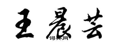胡問遂王晨芸行書個性簽名怎么寫