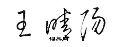 駱恆光王晴陽草書個性簽名怎么寫