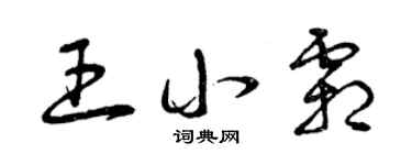 曾慶福王小霜草書個性簽名怎么寫