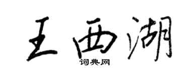王正良王西湖行書個性簽名怎么寫