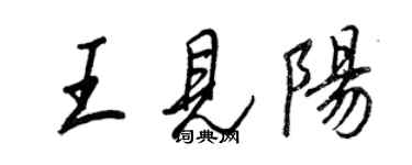 王正良王見陽行書個性簽名怎么寫