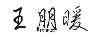駱恆光王朋暖行書個性簽名怎么寫