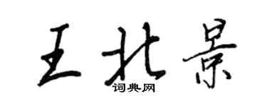 王正良王北景行書個性簽名怎么寫