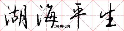 湖海平生怎么寫好看