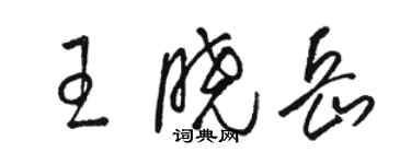 駱恆光王曉岳草書個性簽名怎么寫