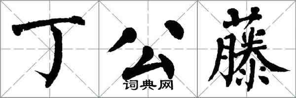 翁闓運丁公藤楷書怎么寫