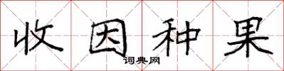 袁強收因種果楷書怎么寫