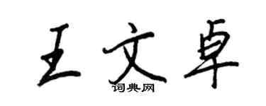 王正良王文卓行書個性簽名怎么寫