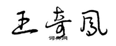 曾慶福王奇鳳草書個性簽名怎么寫