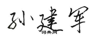 駱恆光孫建軍行書個性簽名怎么寫