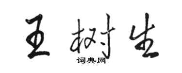 駱恆光王樹生行書個性簽名怎么寫