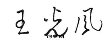 駱恆光王光風草書個性簽名怎么寫