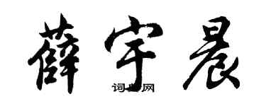 胡問遂薛宇晨行書個性簽名怎么寫