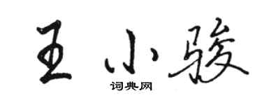 駱恆光王小駿行書個性簽名怎么寫