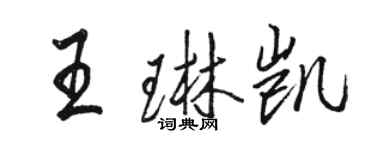 駱恆光王琳凱行書個性簽名怎么寫